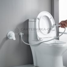 Смеситель с гигиеническим душем Shevanik S4305C