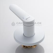 Смеситель с гигиеническим душем Shevanik S4305C