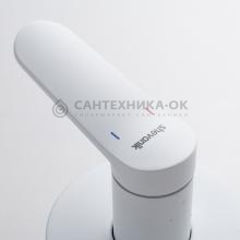 Смеситель с гигиеническим душем Shevanik S4305C