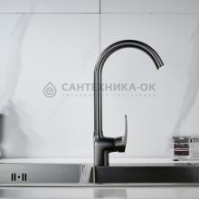 Смеситель для кухни Shevanik S5053T