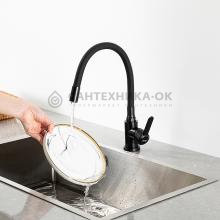 Смеситель для кухни Frap F42553-6