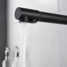 Смеситель для кухни Shevanik S248H