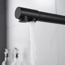 Смеситель для кухни Shevanik S248H