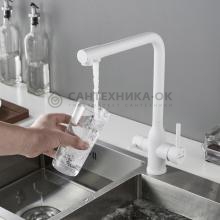 Смеситель для кухни Shevanik S248C