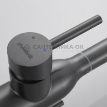 Смеситель для кухни Shevanik S248T