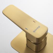 Душевой комплект Shevanik S9935G