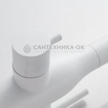 Смеситель для кухни Shevanik S378C