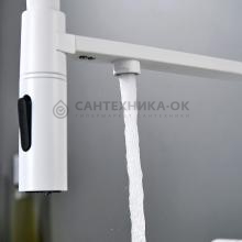 Смеситель для кухни Shevanik S478C