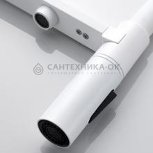 Смеситель для кухни Shevanik S478C