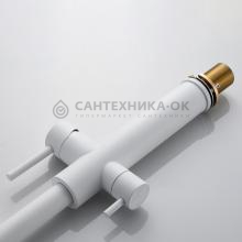 Смеситель для кухни Shevanik S478C