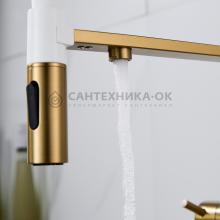 Смеситель для кухни Shevanik S478G