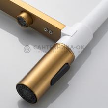 Смеситель для кухни Shevanik S478G