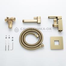 Смеситель с гигиеническим душем Gappo G7217-13