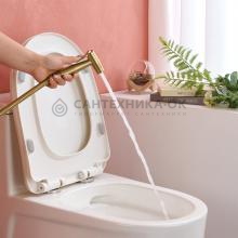 Смеситель с гигиеническим душем Gappo G2006-3
