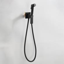 Смеситель с гигиеническим душем Frap F7571-6