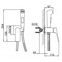 Смеситель с гигиеническим душем Frap F7586-29